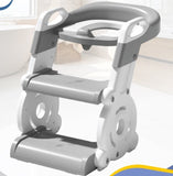 kids Potty Training Seat, Kid Toilet Training Ladder 2 In 1 BD215