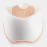 Fisher Price Baby Bath Seat BD276