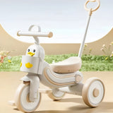 2 in 1 Baby Tricycle for Kids Convertible with Parental Adjustable Push Handle, Ergo Seat Kid Cycle. Tricycle for Kids 2 to 4 Years BD266