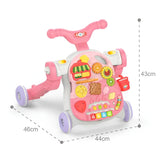 5in1 Baby Multifunction Walker With Light & Music BD248